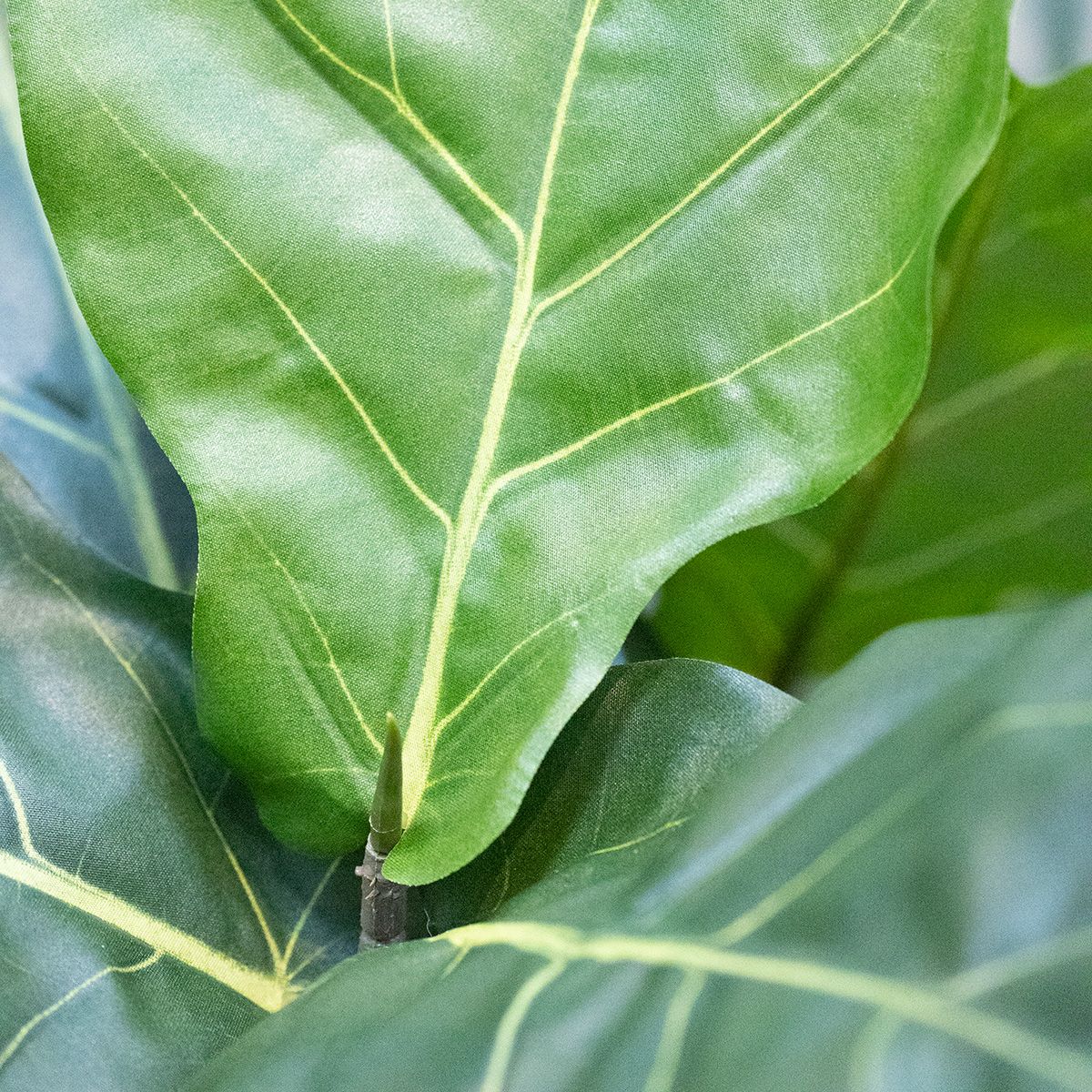 Lyrata Kunstplant N 90cm in pot