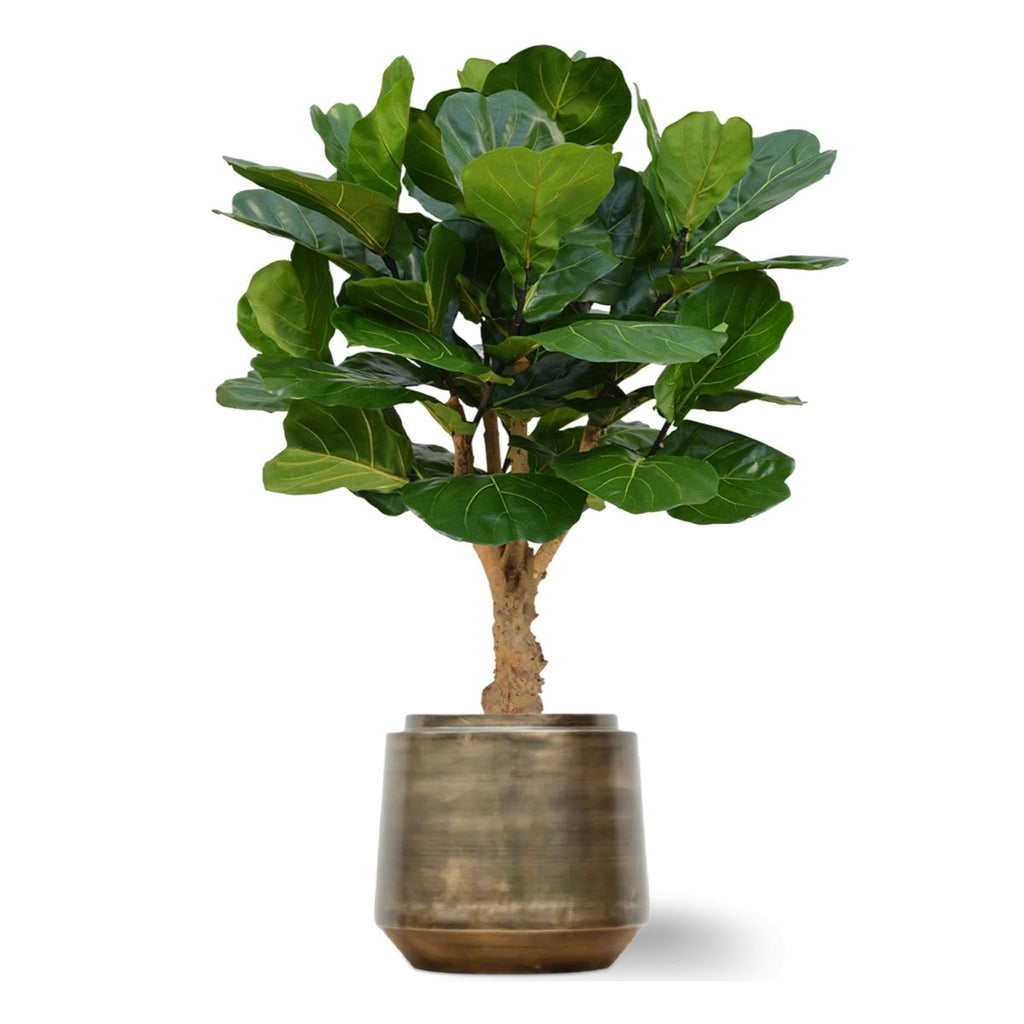 Lyrata deluxe kunstplant op stam 125cm