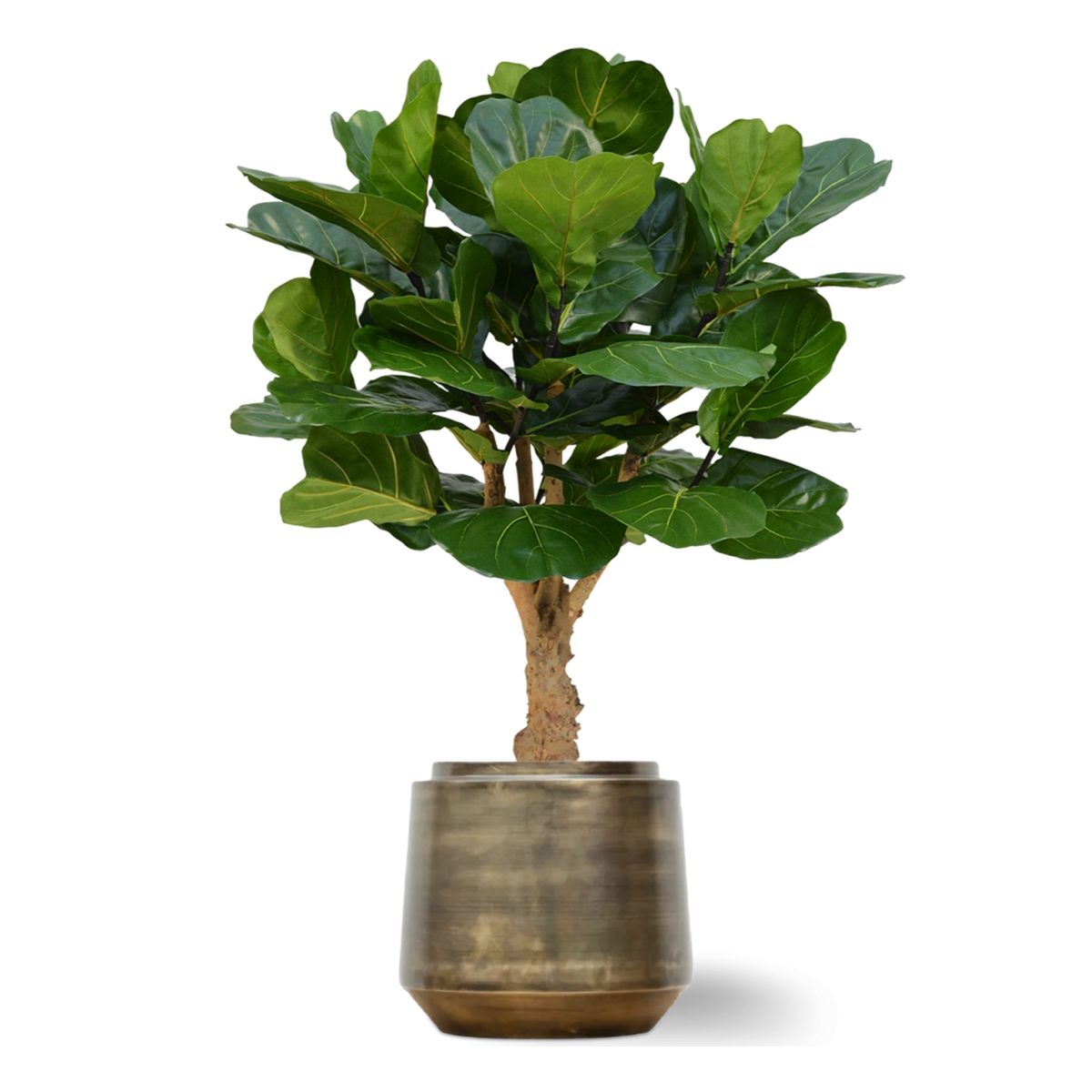Lyrata deluxe kunstplant op stam 125cm
