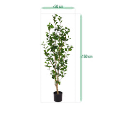 Ficus Triangularis Kunstplant 150cm