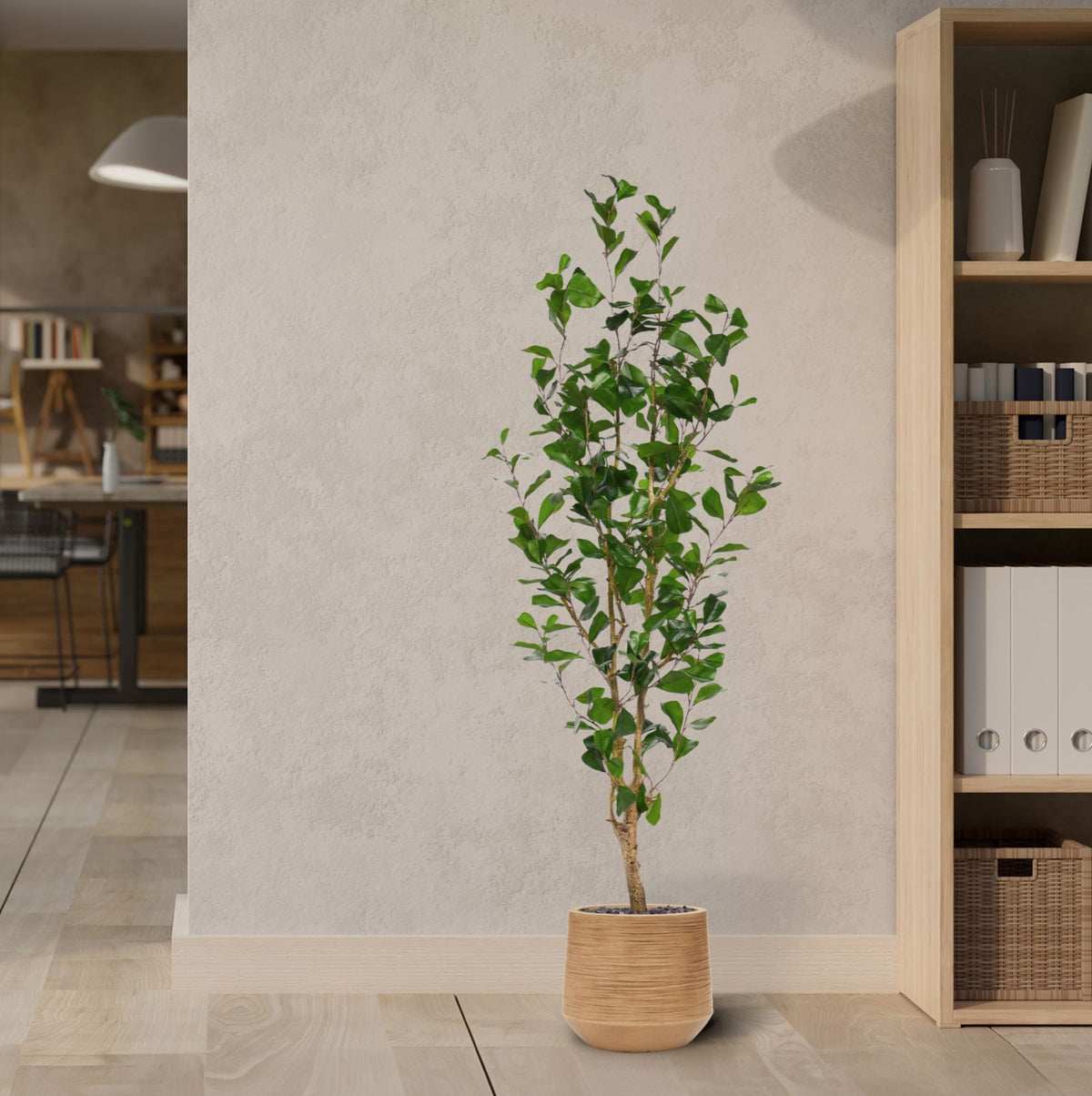 Ficus Triangularis Kunstplant 150cm