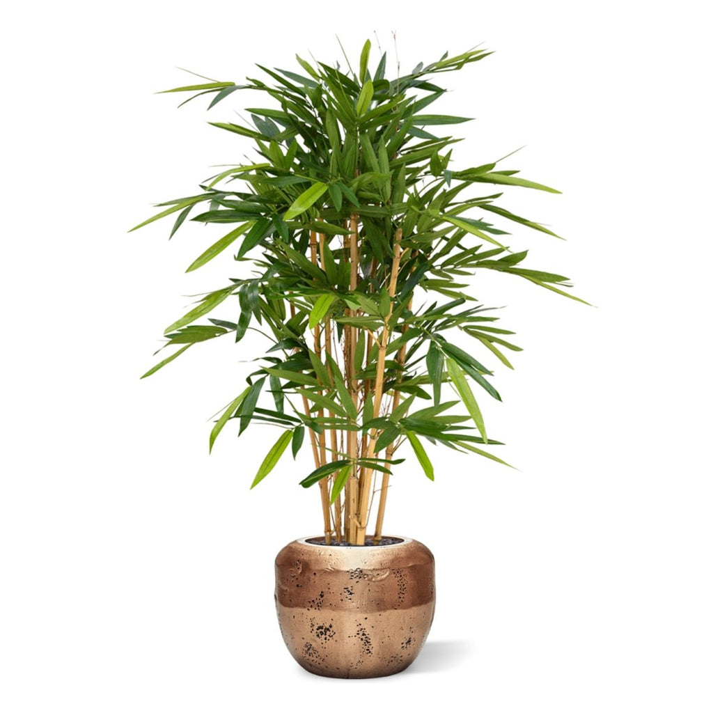 Bamboe deluxe kunstplant 120cm