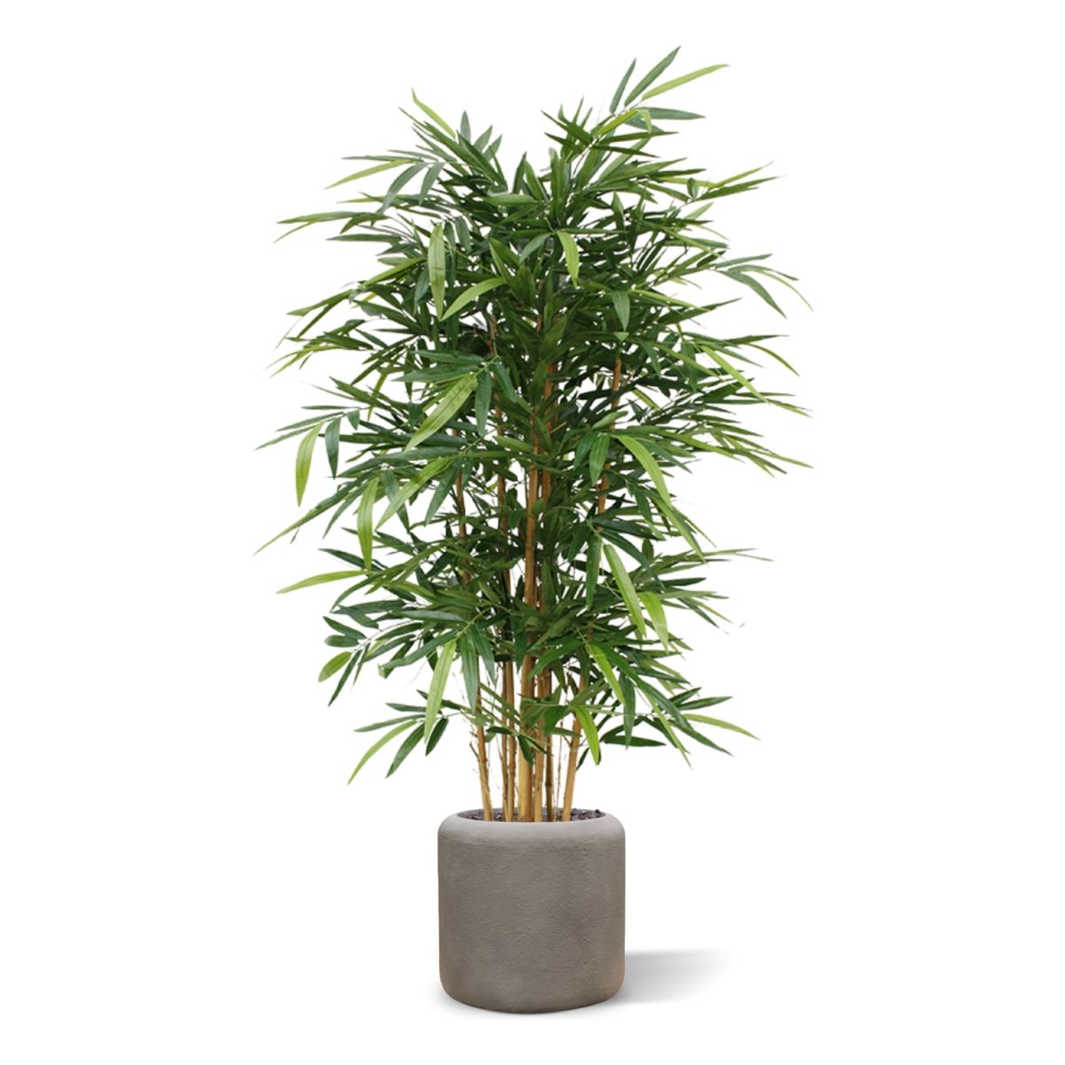 Bamboe deluxe kunstplant 150cm