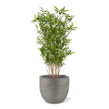 Oriental Bamboe kunstplant 100cm