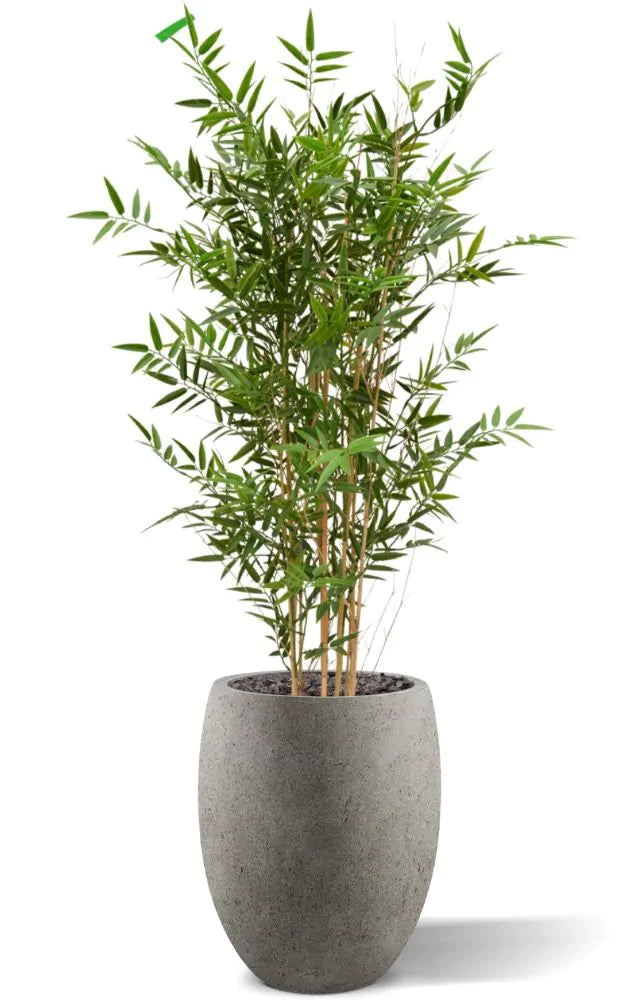Hoge kunst Bamboeplant 120 cm UV-beschermd 
