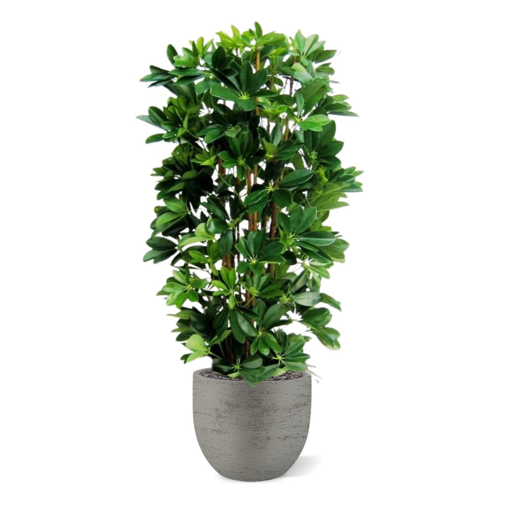 Schefflera kolom kunstplant 120cm