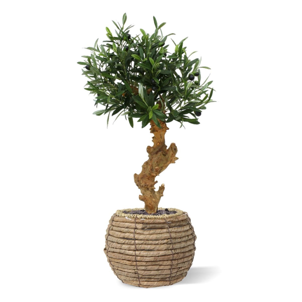 Olijf Bonsai deluxe kunstboom op voet 60cm