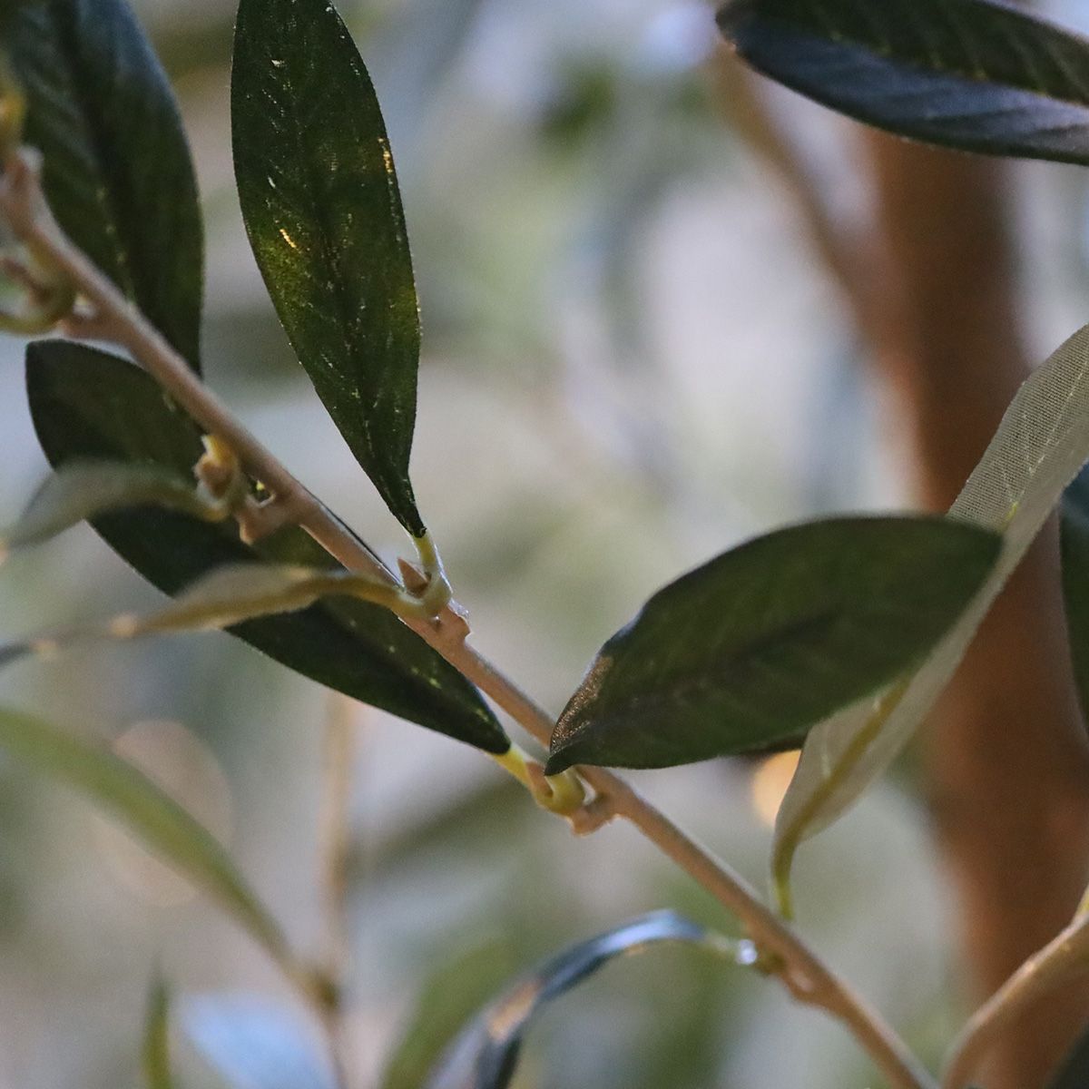 Kunst Olijfboom 120cm