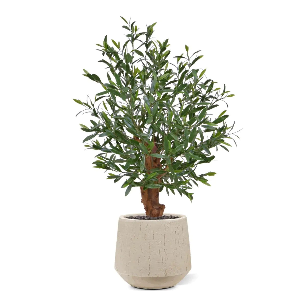 Olijf Bonsai kunstboom Deluxe 90cm UV 