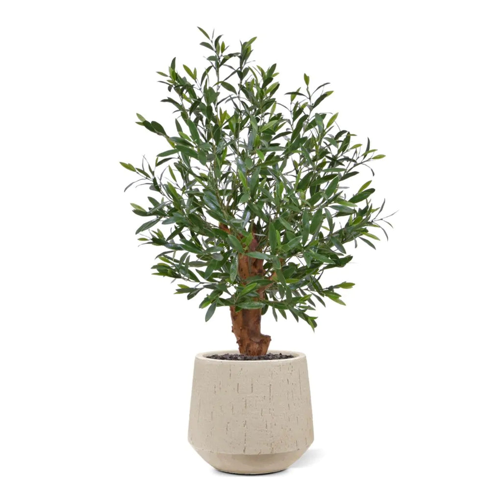 Olijfbonsai kunstboom Deluxe 90 cm UV