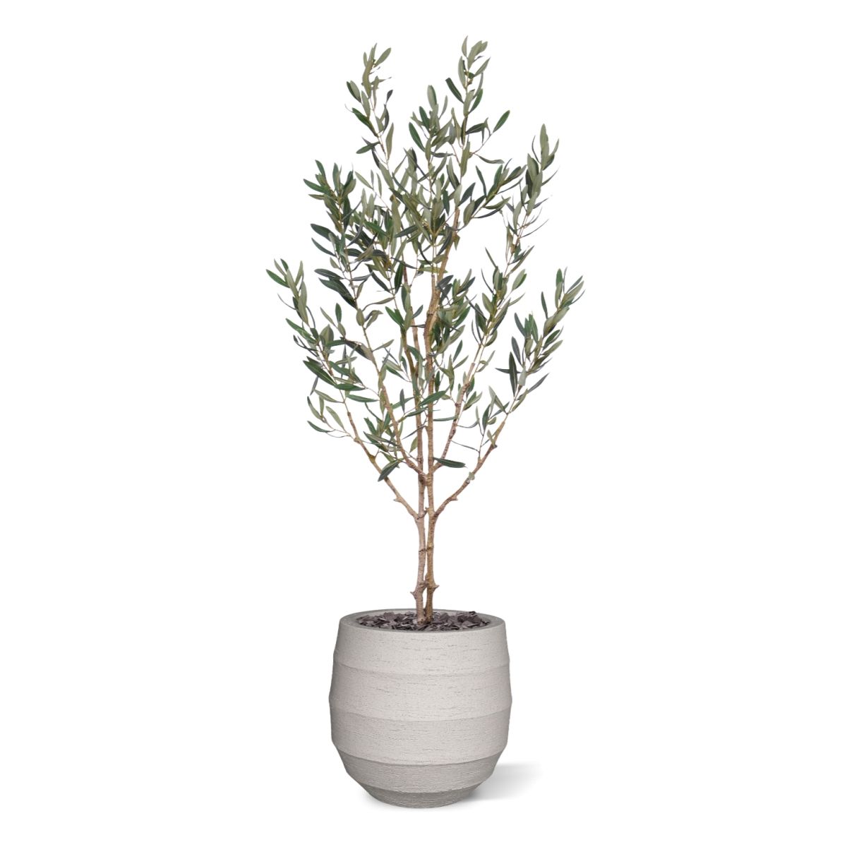 Olijf Kunstboom N 120cm