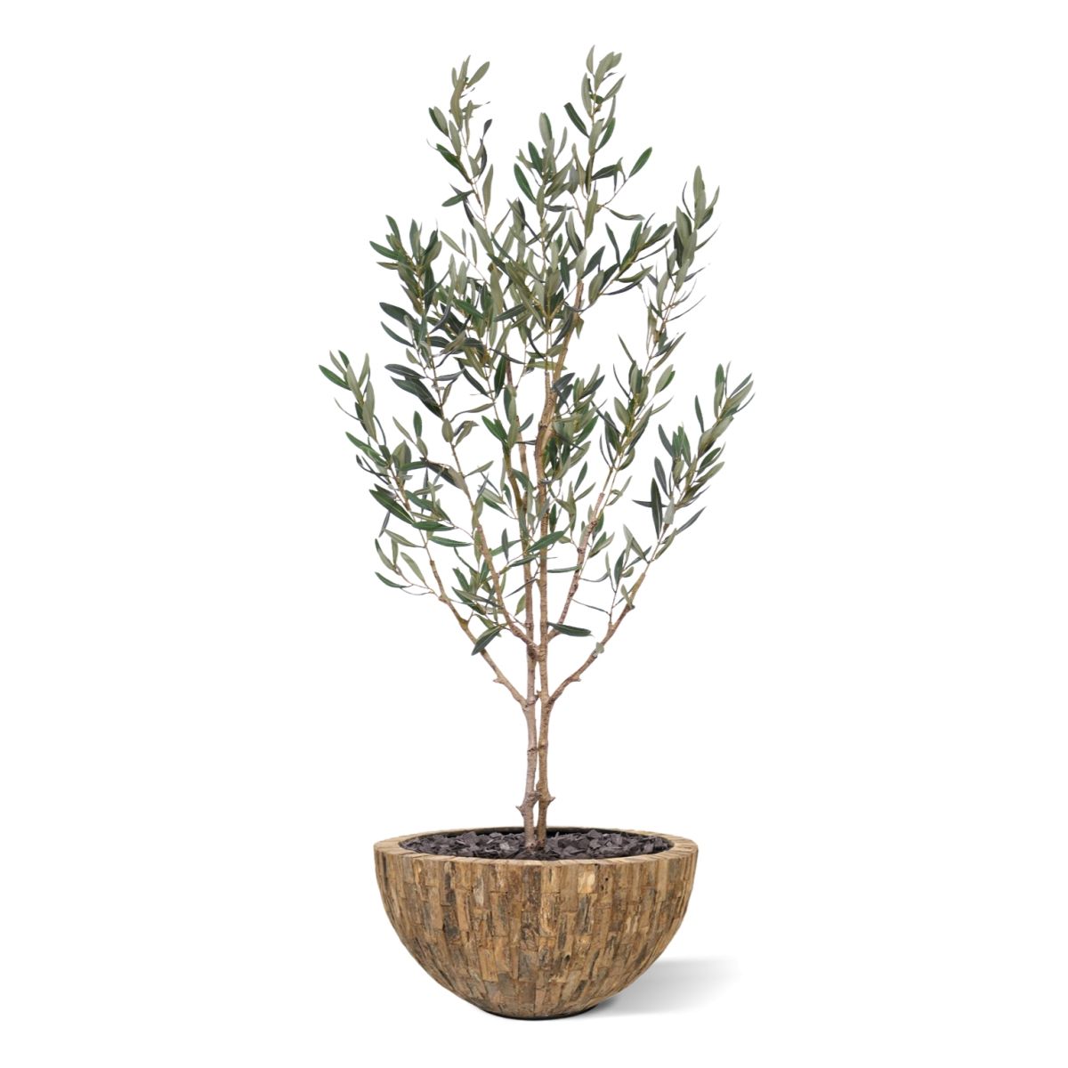 Olijf Kunstboom N 120cm