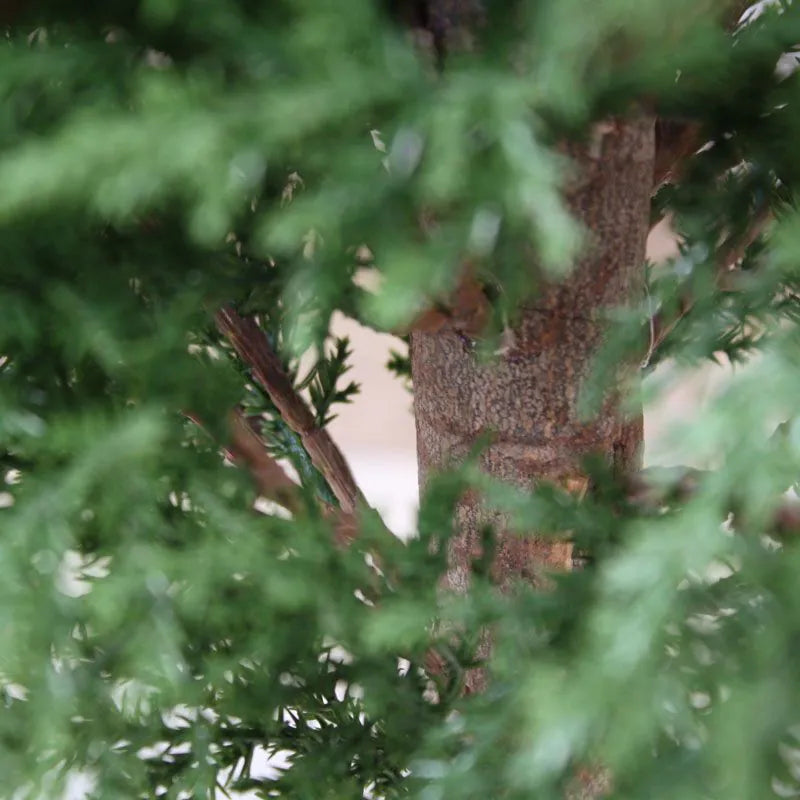 Kunst conifeer voor buiten 150 cm UV-bestendig 