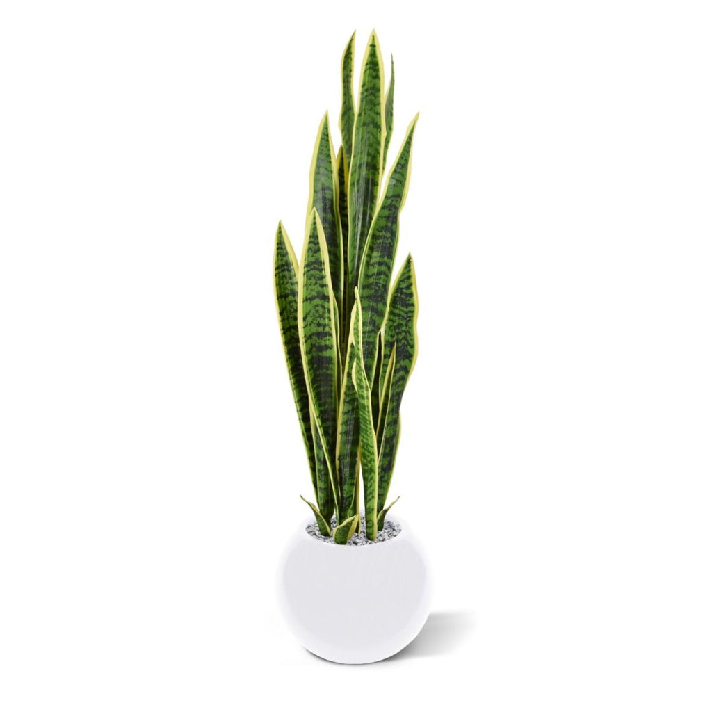 Sanseveria kunstplant 110cm - bont