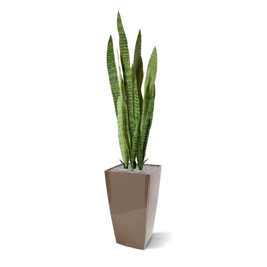 Sanseveria kunstplant 110cm -groen