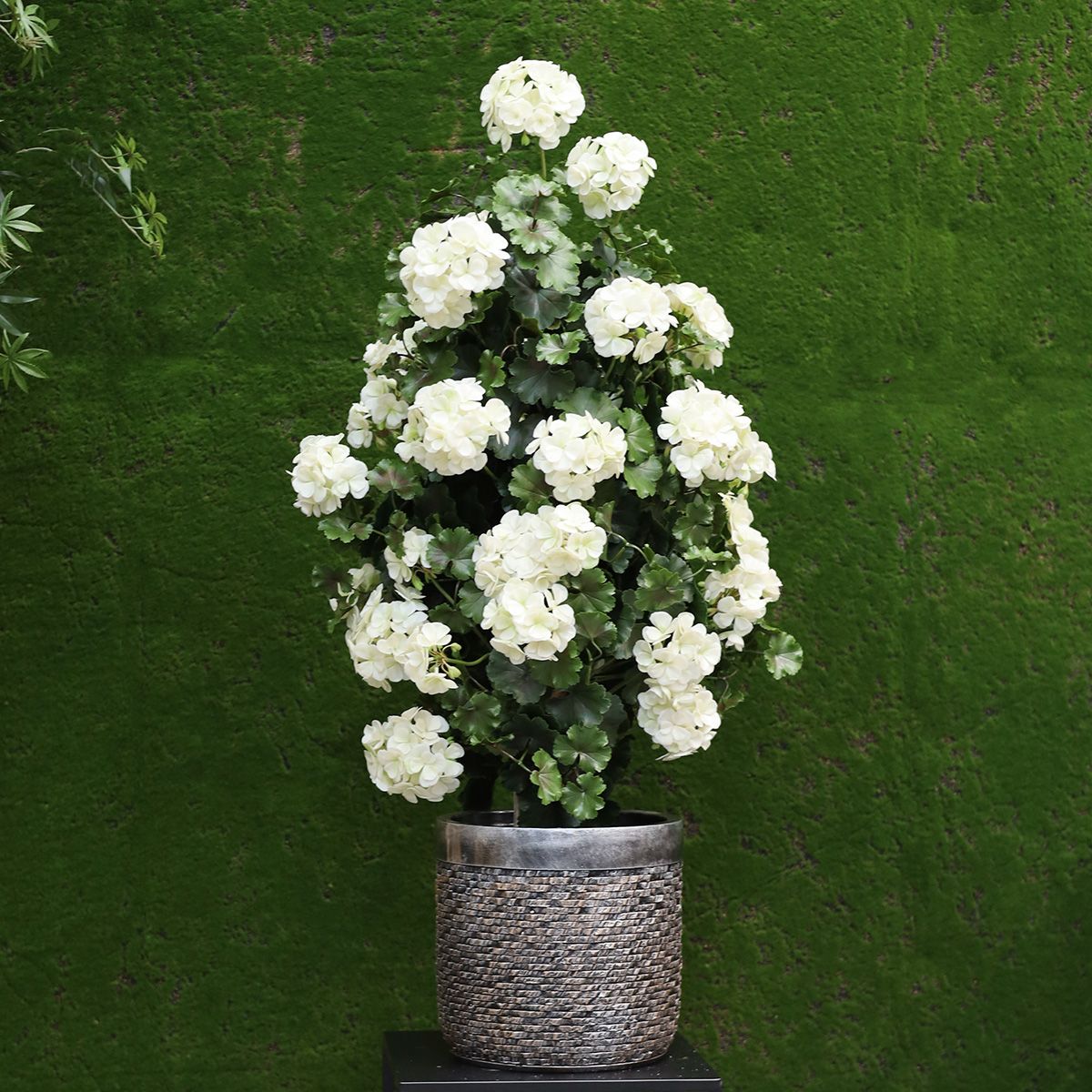 Geraniumkunst 110 cm piramideplant UV crèmewit