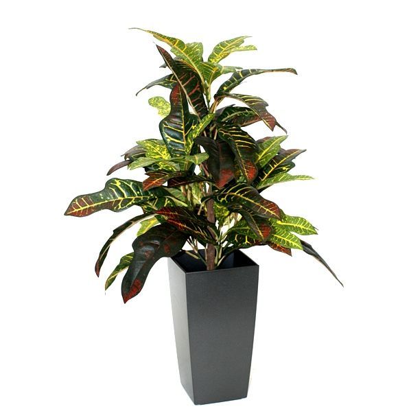 Croton Window kunstplant 50cm