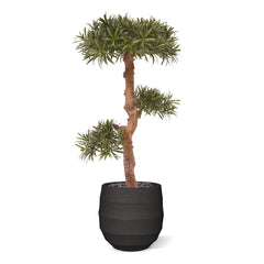 Kunst Podocarpus Bonsaiboom 105 cm UV voor buiten 