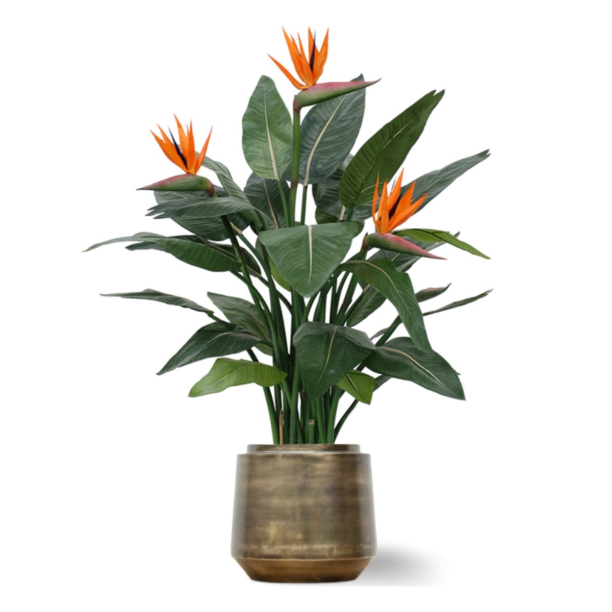 Strelitzia kunstplant deluxe 115cm