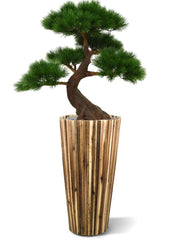 Kunst Bonsai Pinus boom 80 cm met 5 lagen UV-beschermd 