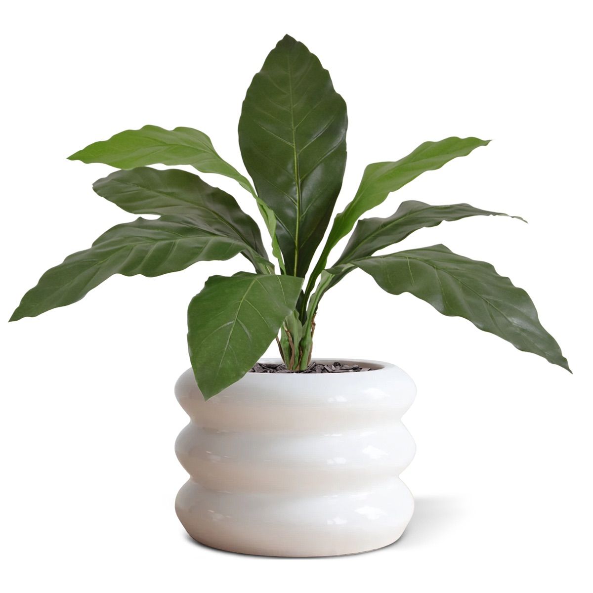 Anthurium Jungle King kunstplant 60cm