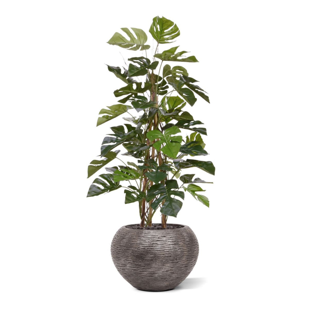 Monstera kunstplant Deluxe klimplant 120cm