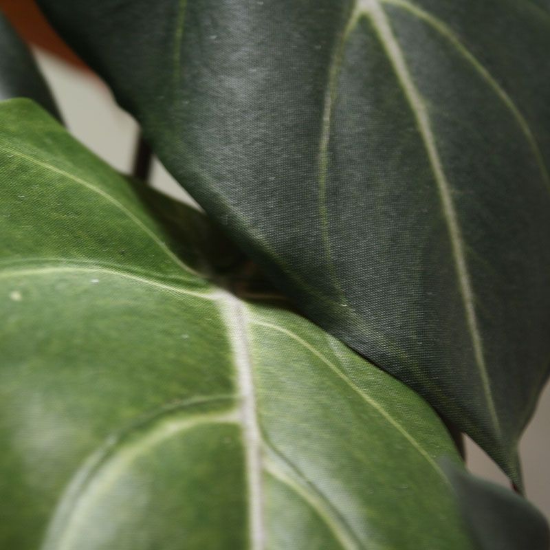 Syngonium kunstplant 60cm