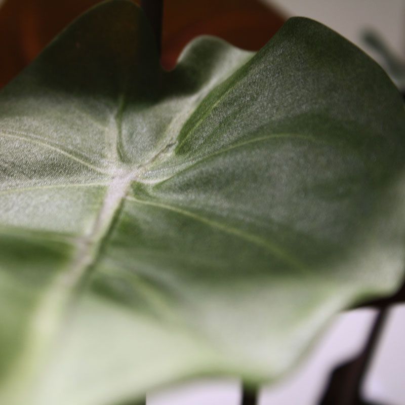 Syngonium kunstplant 60cm