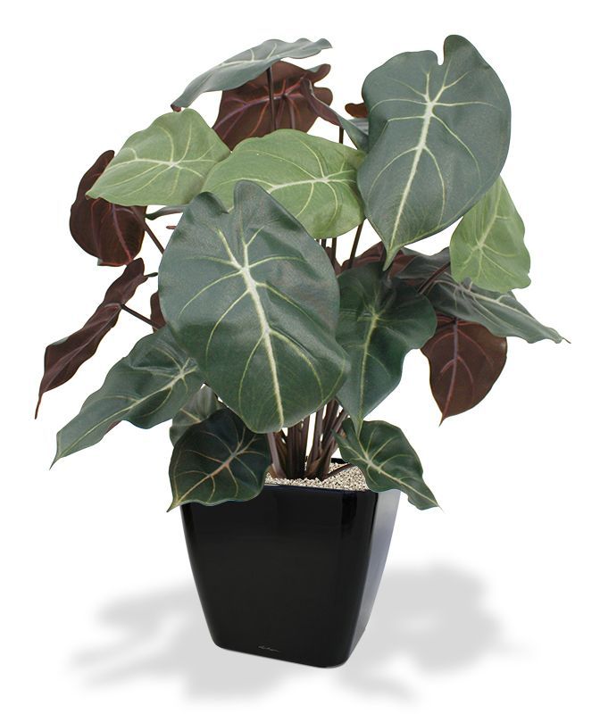 Syngonium kunstplant 60cm