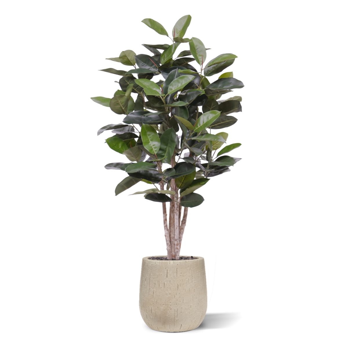 Elastica Robusta kunstplant 170cm groen