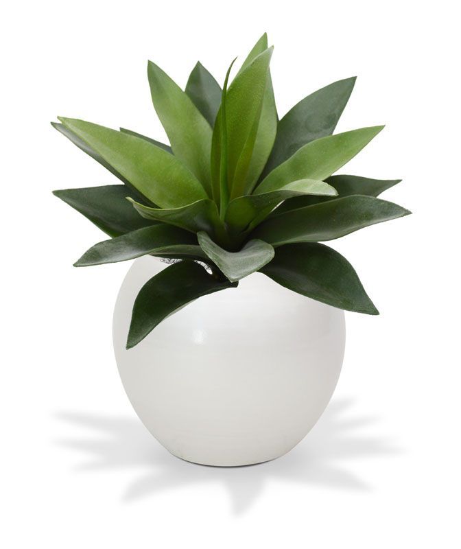 Agave kunstplant 25cm in 10cm pot