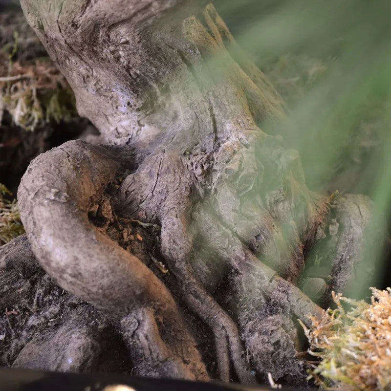 Kunst Bonsaiboom voor buiten 60 cm UV met 3 niveaus UV-bescherming 