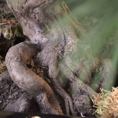 Kunst Bonsaiboom voor buiten 60 cm UV met 3 niveaus UV-bescherming 