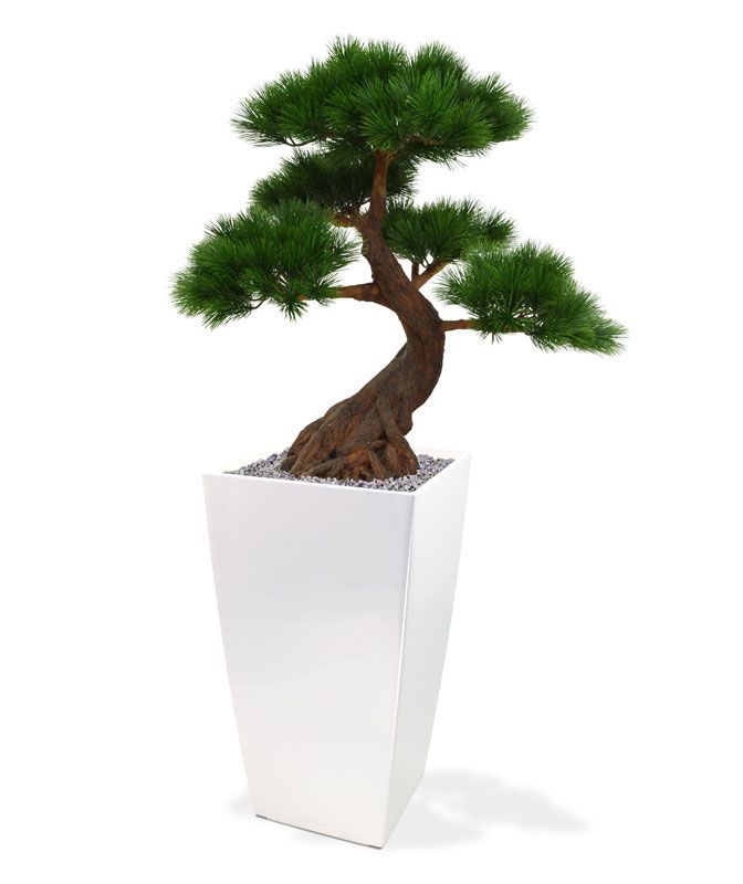 Pinus Bonsai x5 deluxe kunstplant op voet 80cm