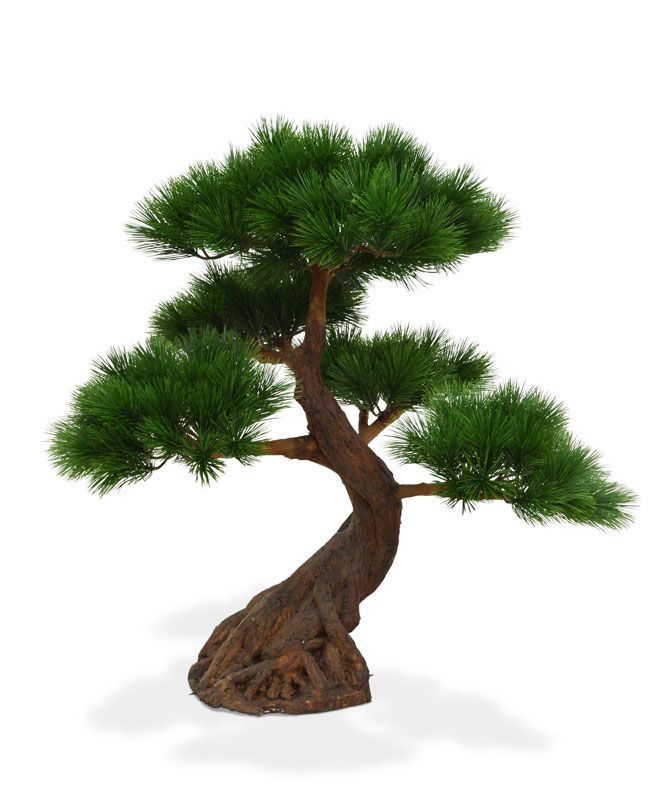 Pinus Bonsai x5 deluxe kunstplant op voet 80cm