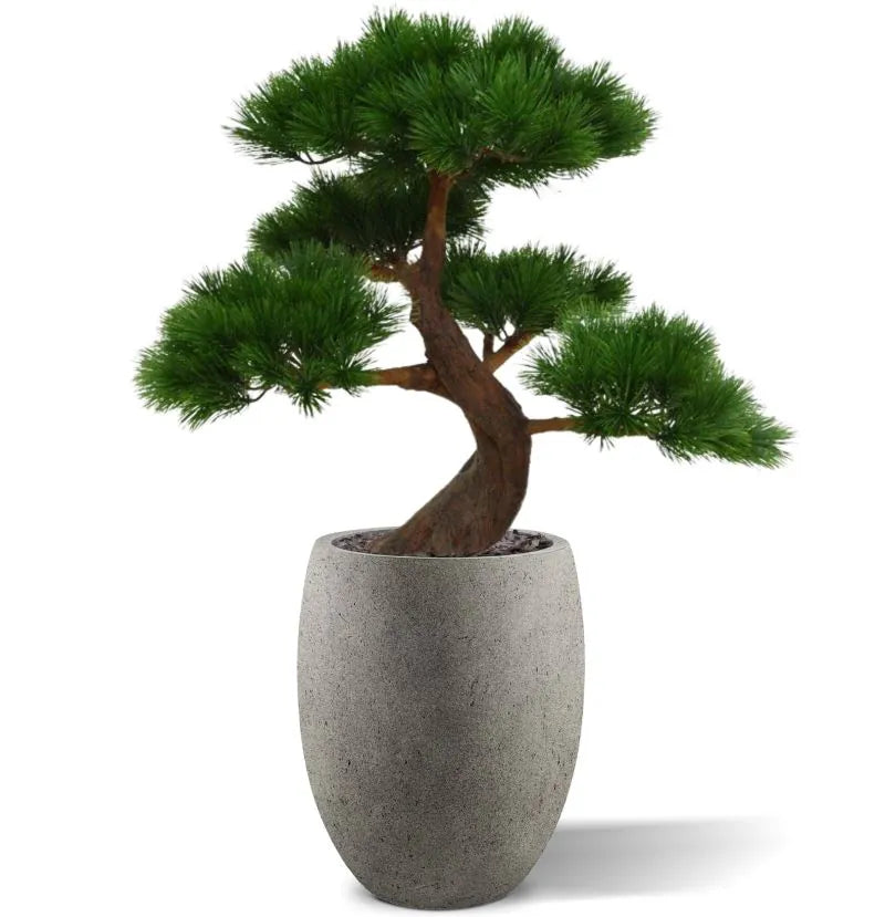 Kunst Bonsai Pinus boom 80 cm met 5 lagen UV-beschermd 