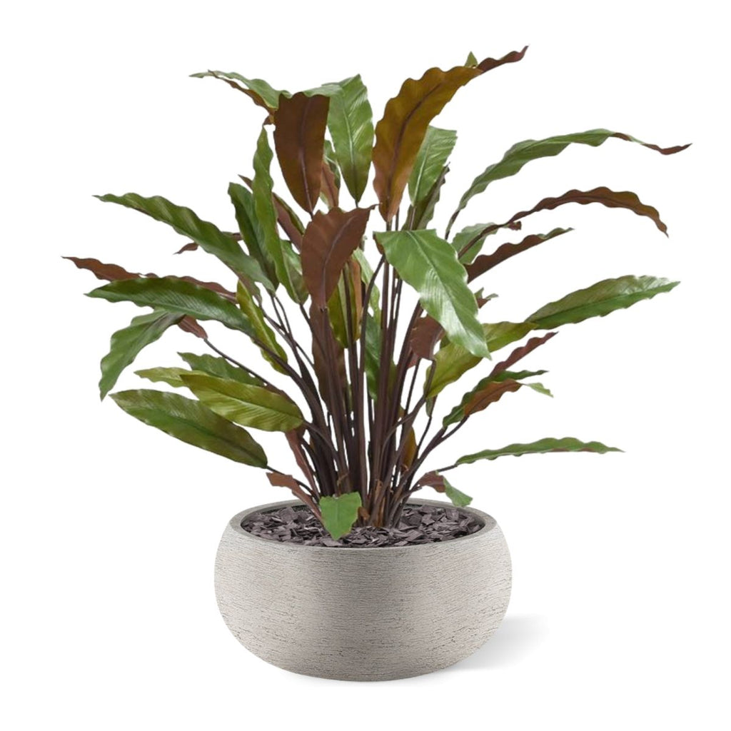 Calathea Red kunstplant 60cm