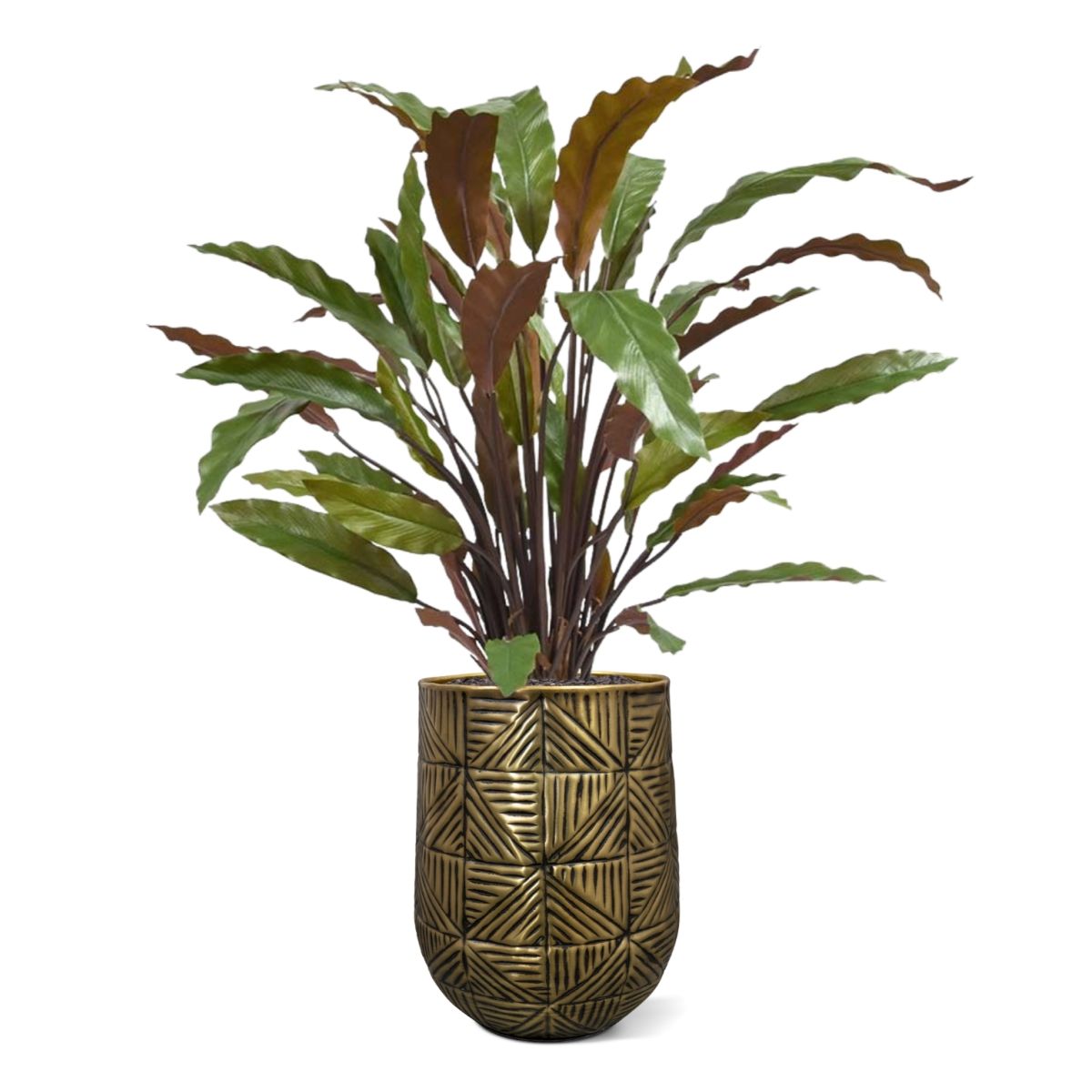 Calathea Red kunstplant 60cm
