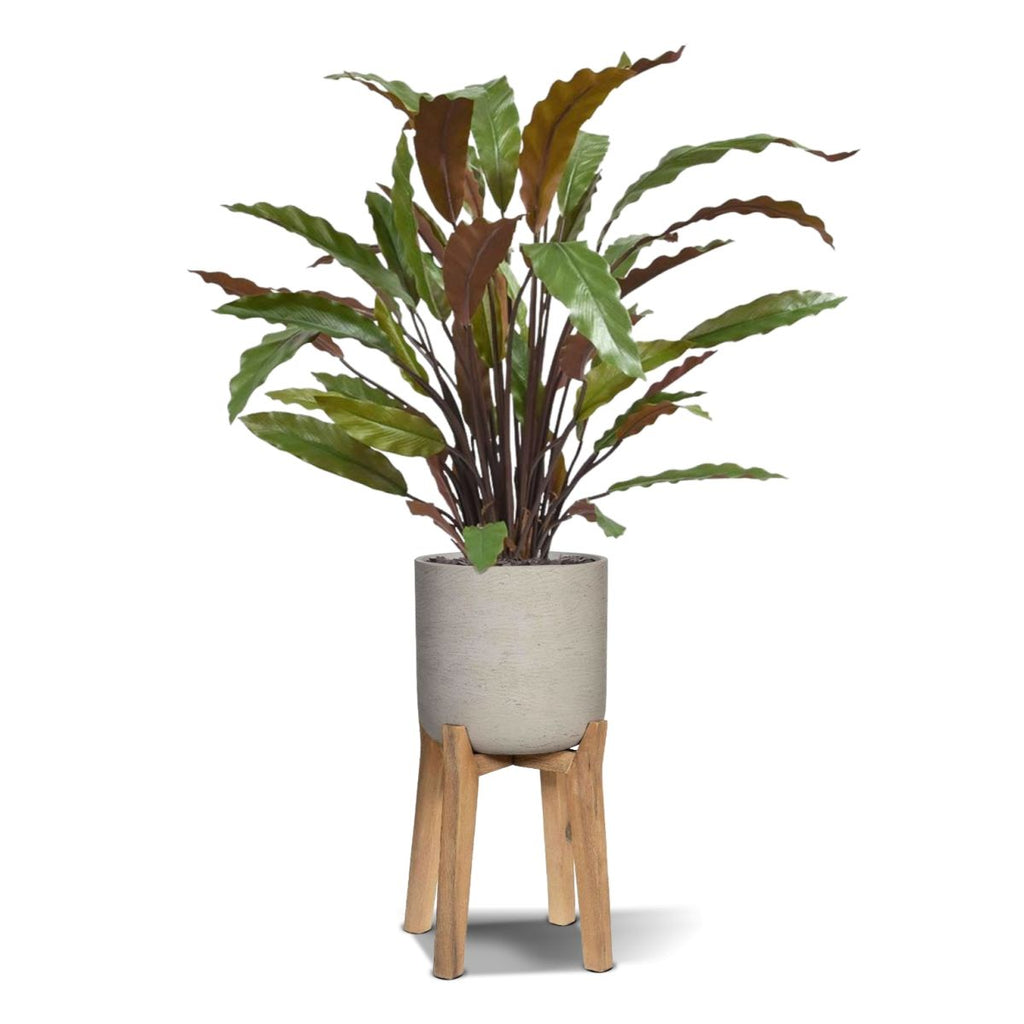 Calathea Red kunstplant 60cm
