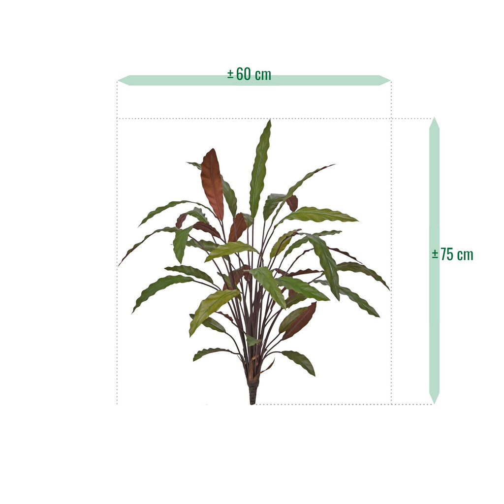 Calathea 75cm Kunstplant Groen/rood