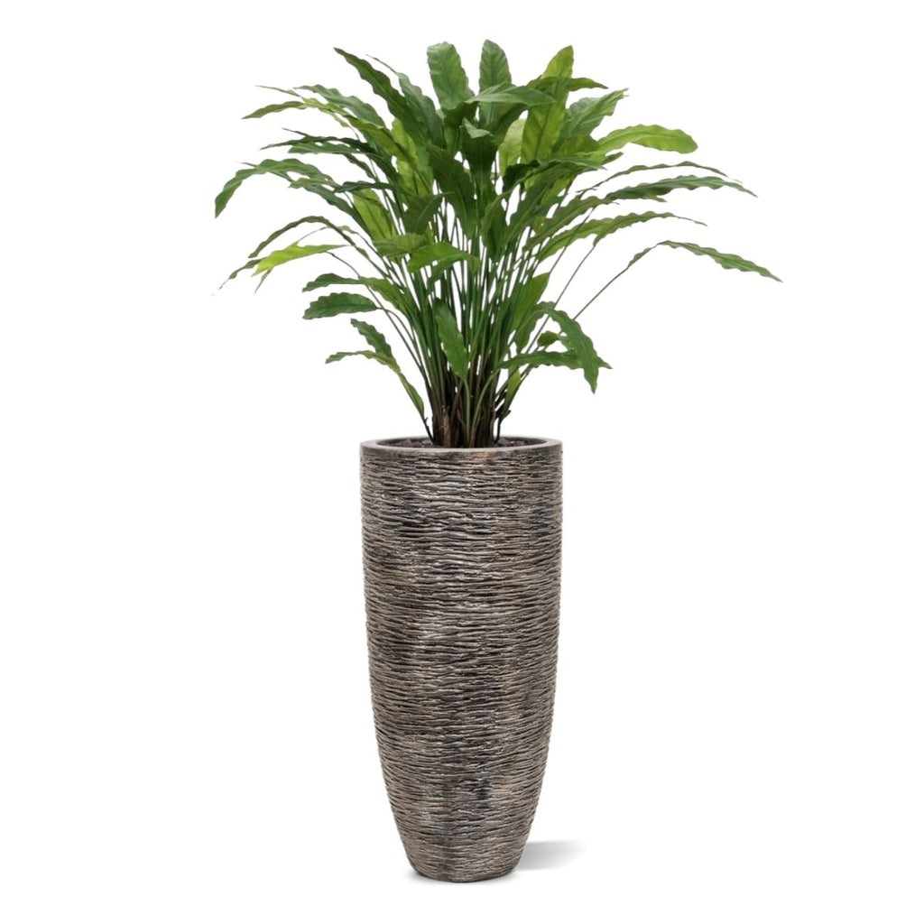 Calathea kunstplant 85cm - groen