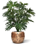 Philo Selloum XL kunstplant 125cm
