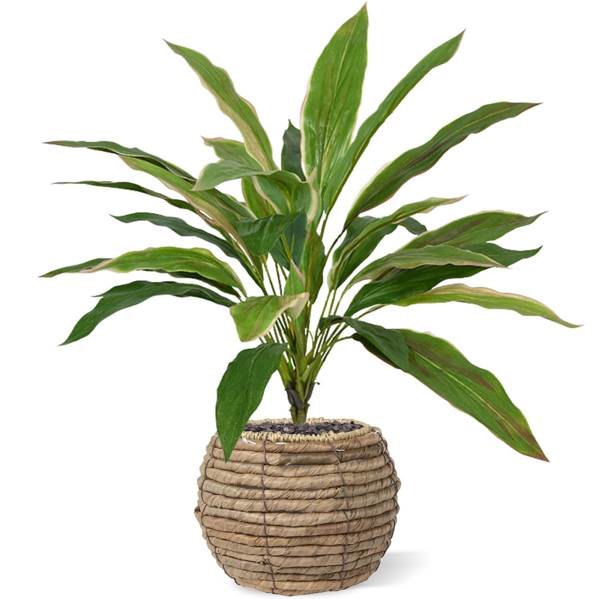 Draceana kunstboeket 40 cm NT  met kweekpotje