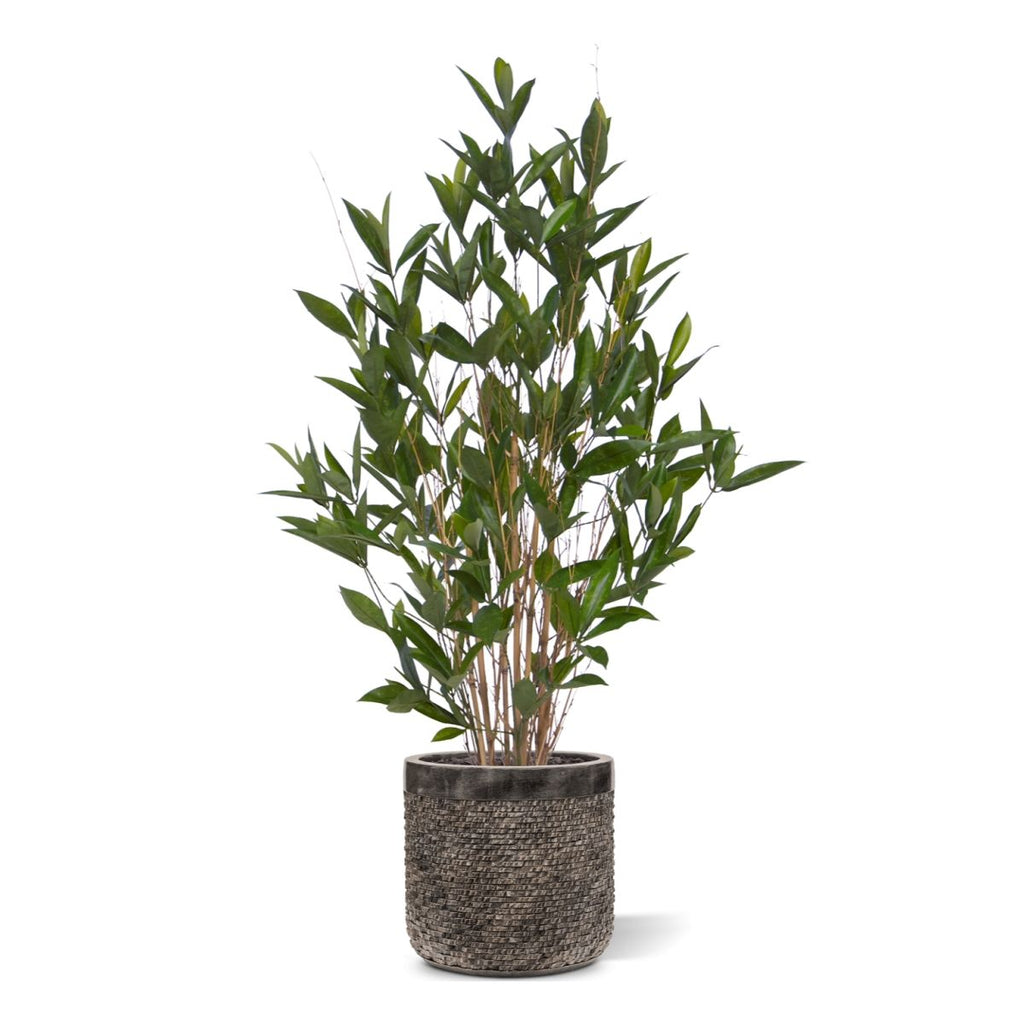 Draceana Surculosa kunstplant 110cm