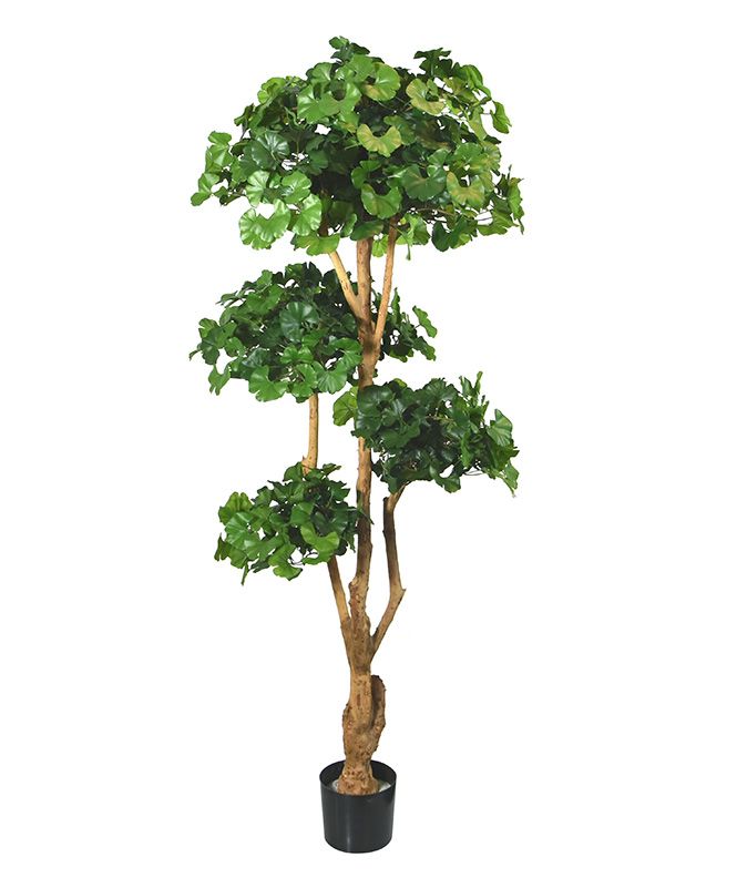 Ginkgo Bonsai deluxe kunstboom 170cm