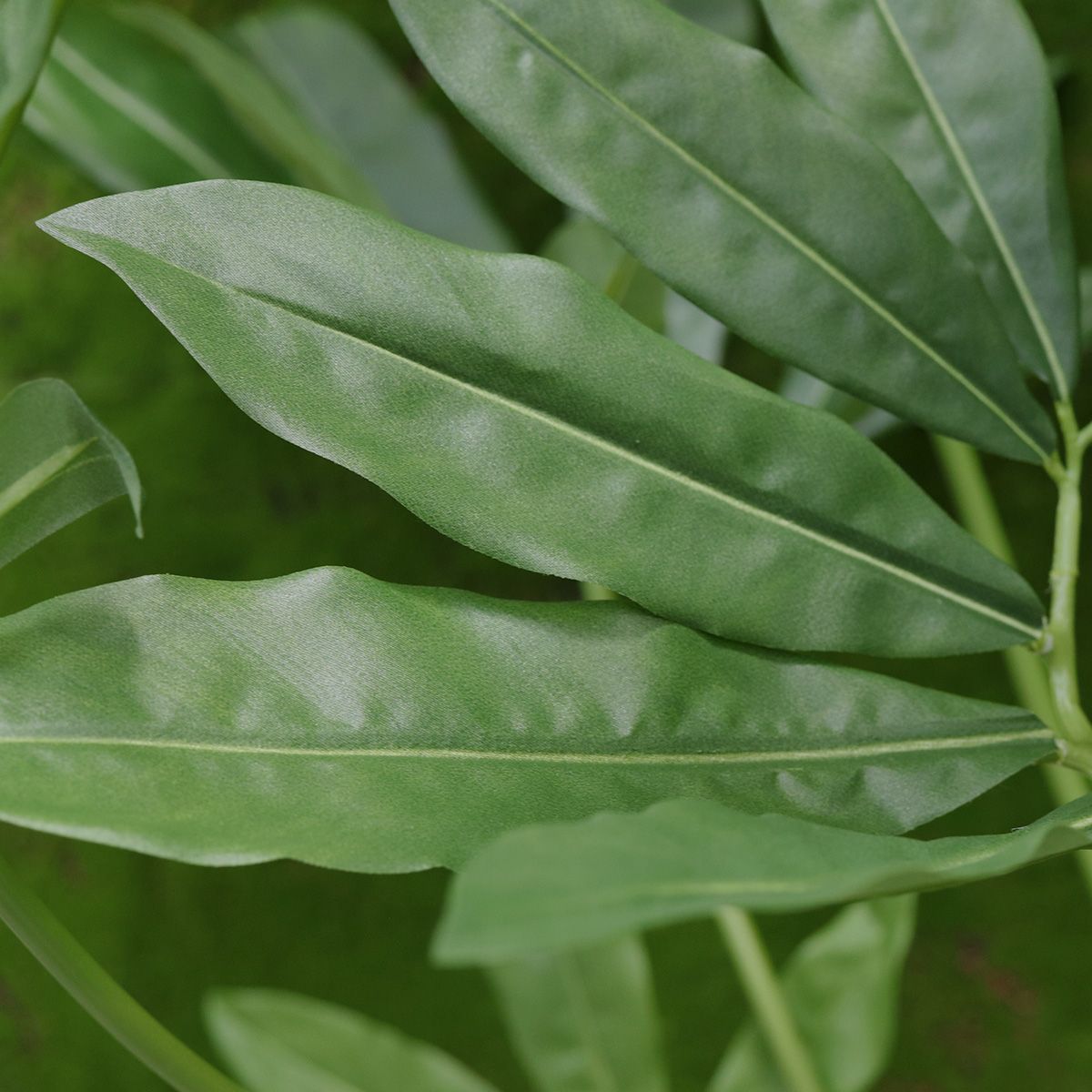 Philodendron Fun Bun Kunstplant 80cm Deluxe