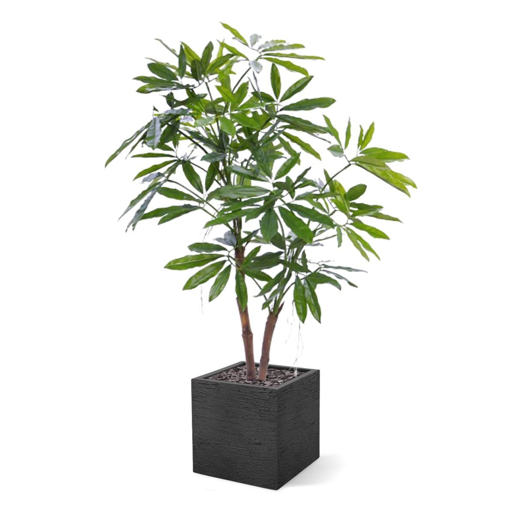 Philodendron Fun Bun Kunstplant 155cm