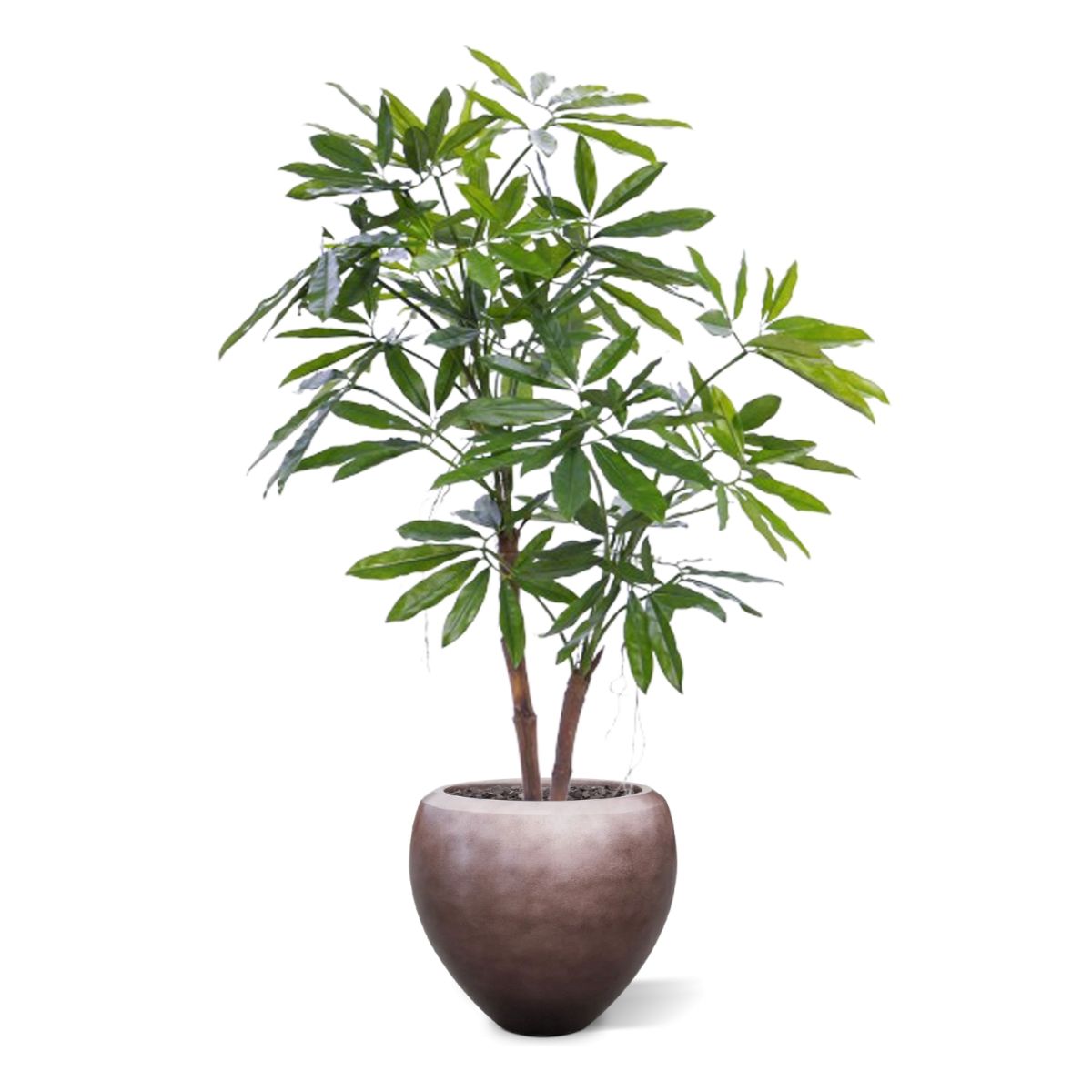 Philodendron Fun Bun Kunstplant 155cm