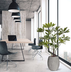 Philodendron Fun Bun kunstplant Deluxe 145cm