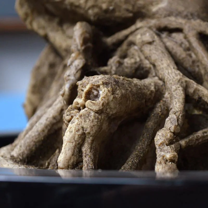 Kunst bonsai Ming Aralia voor buiten in de kleur bordeauxrood met geteste UV-garantie 
